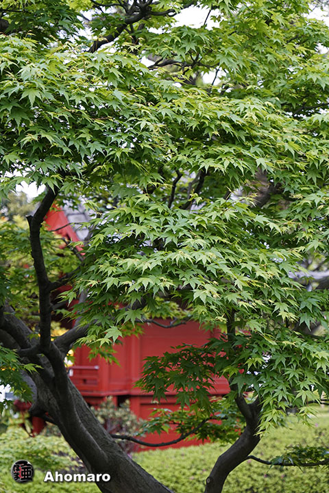 写真00