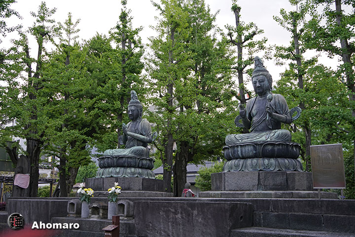 写真00