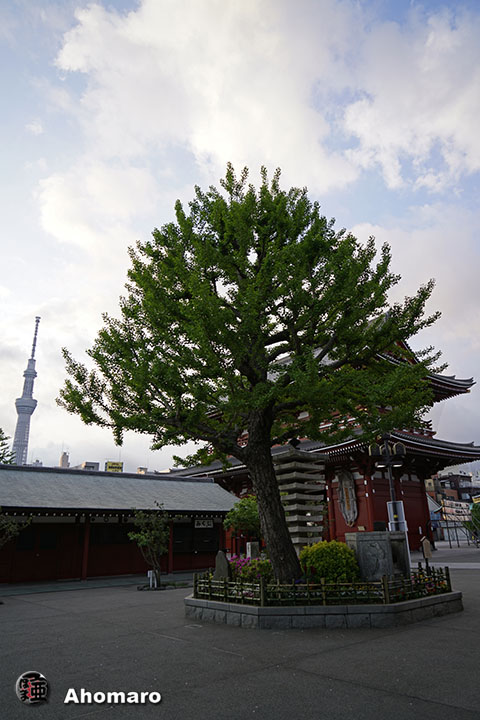 写真00