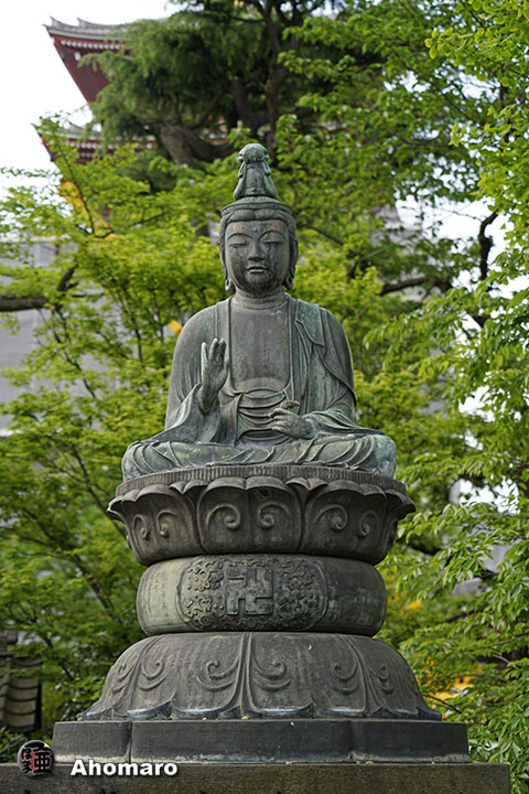 写真00