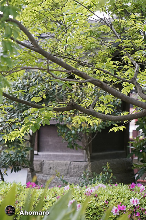 写真00