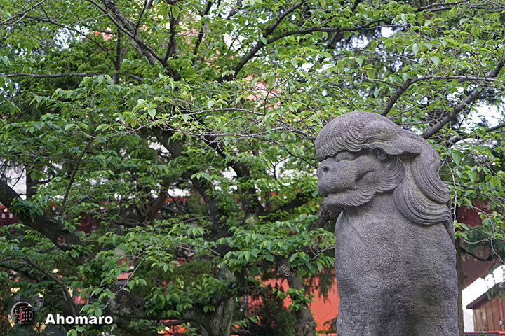 写真00