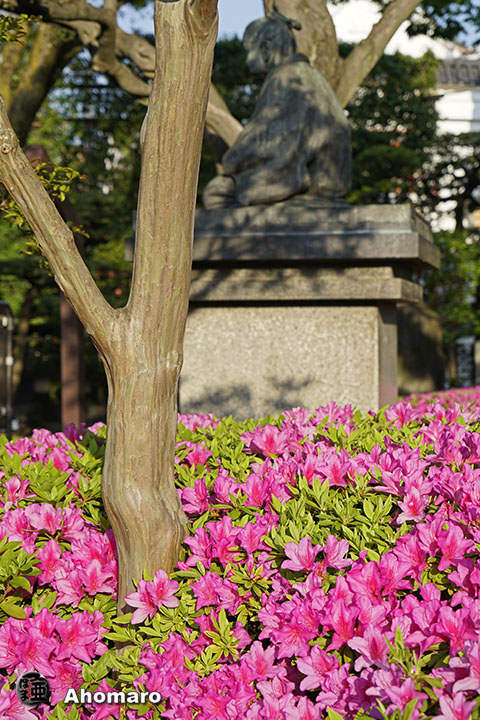 写真00
