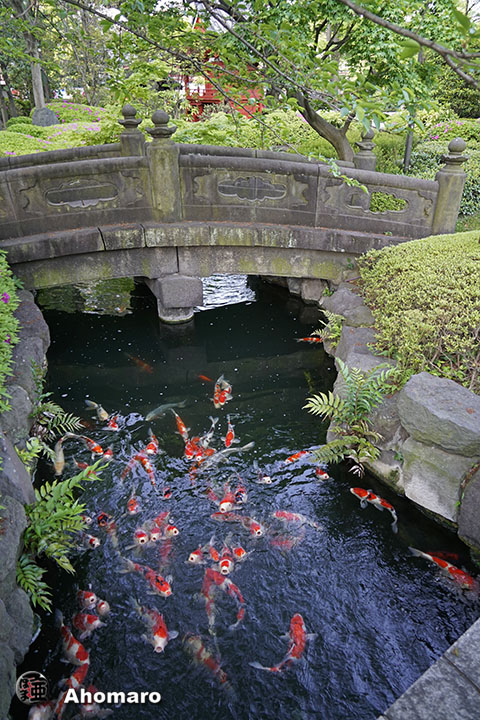 写真00