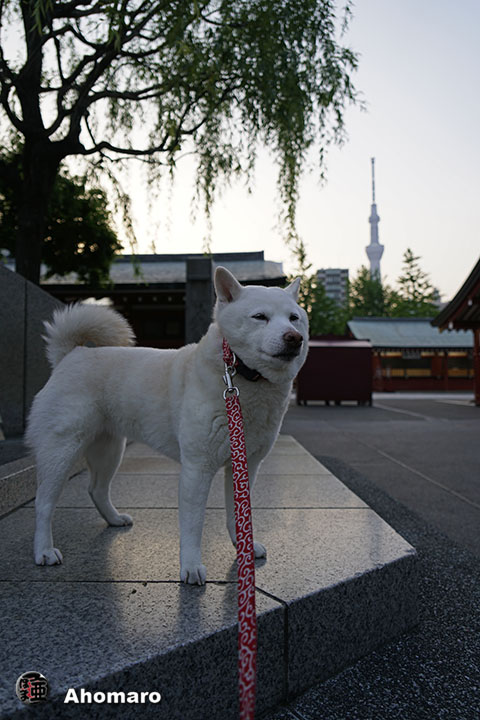 写真00