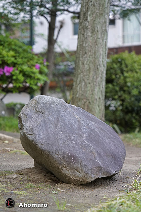 写真00