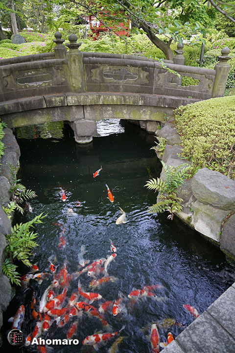 写真00