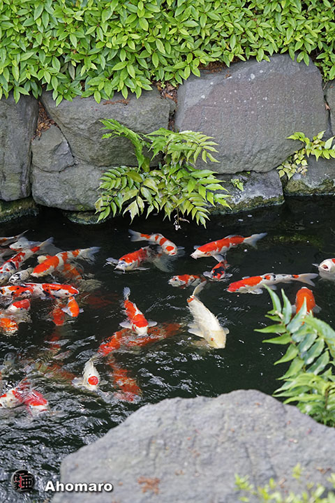 写真00