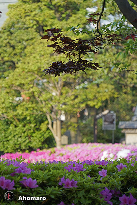 写真00