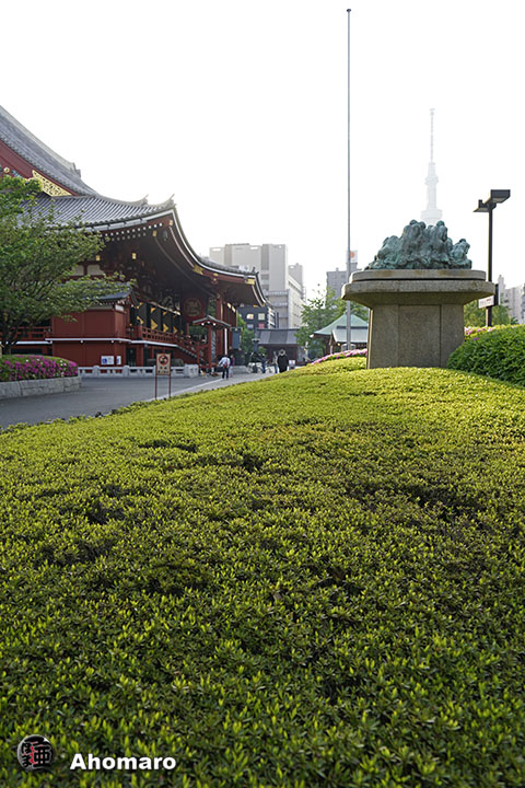 写真00