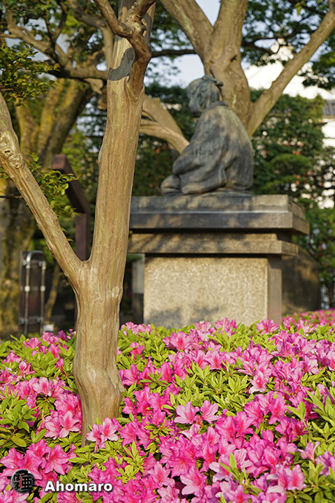 写真00