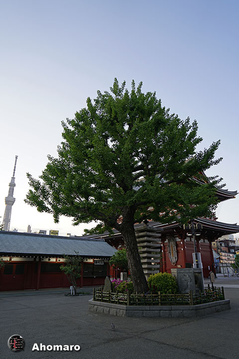 写真00