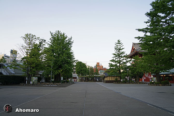 写真00