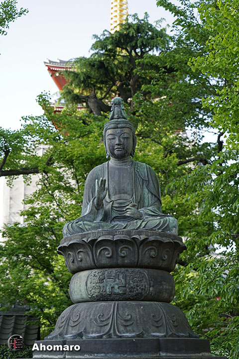 写真00