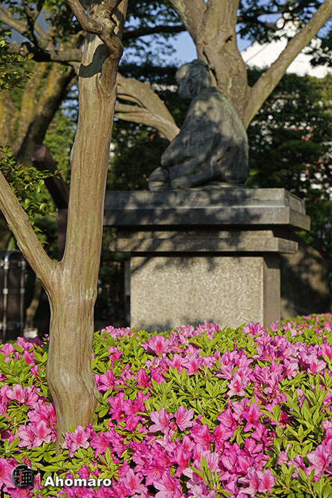 写真00