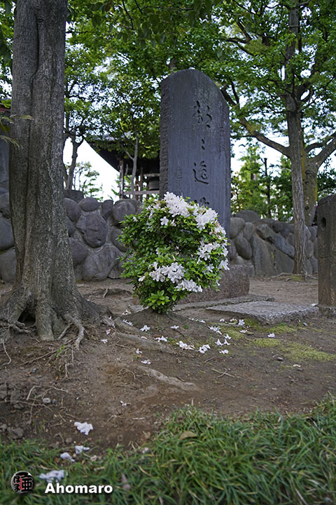 写真00