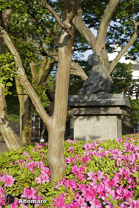 写真00