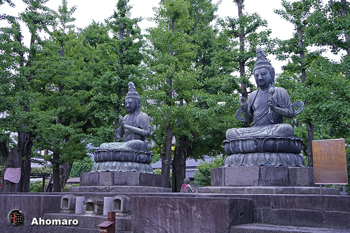 写真00