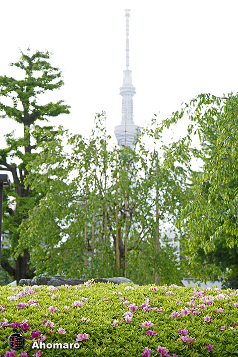 写真00