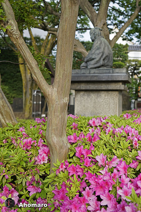 写真00