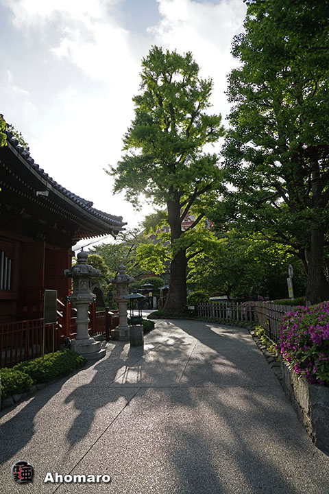 写真00