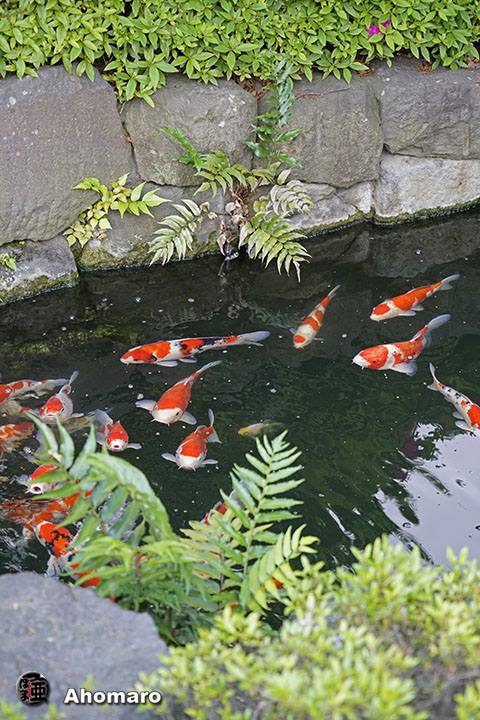 写真00