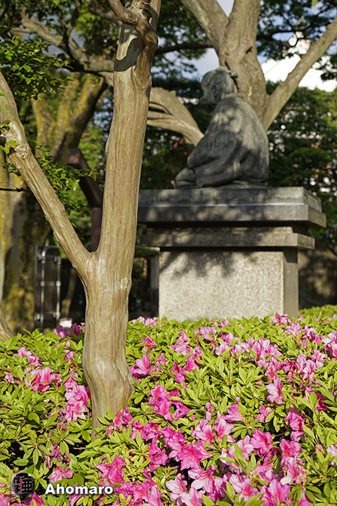 写真00