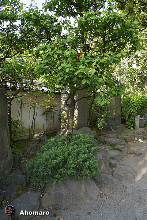 写真00