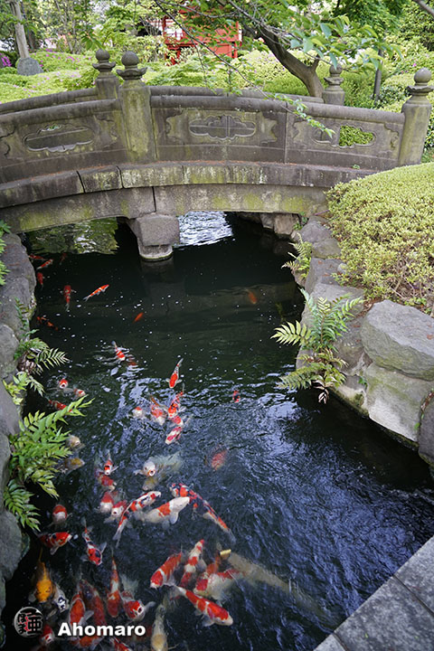 写真00