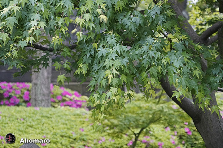 写真00