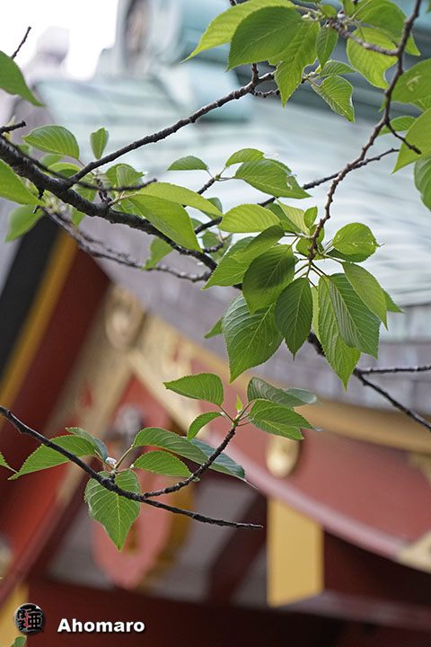 写真00
