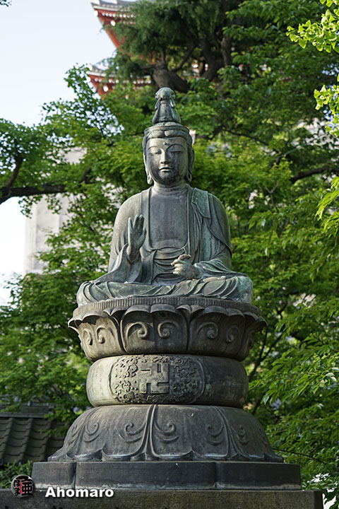 写真00