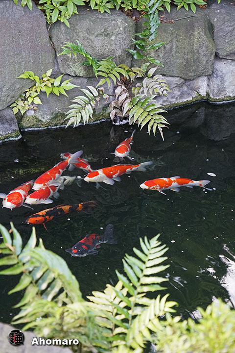 写真00