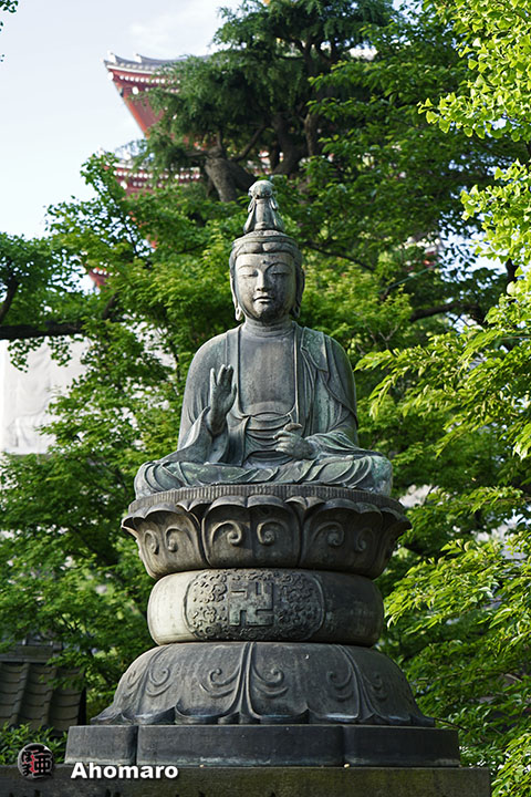 写真00