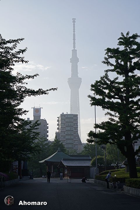 写真00