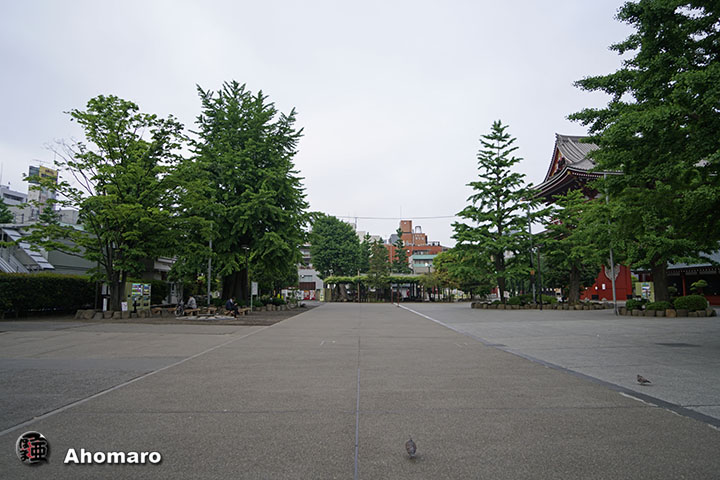 写真00