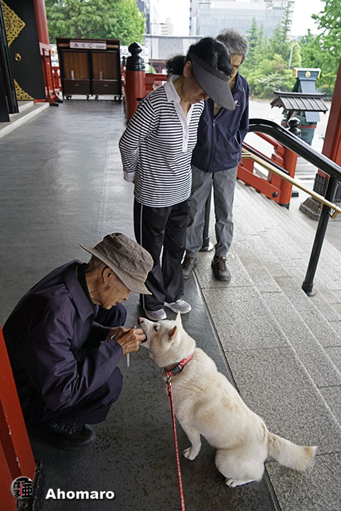 写真00