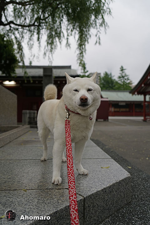 写真00
