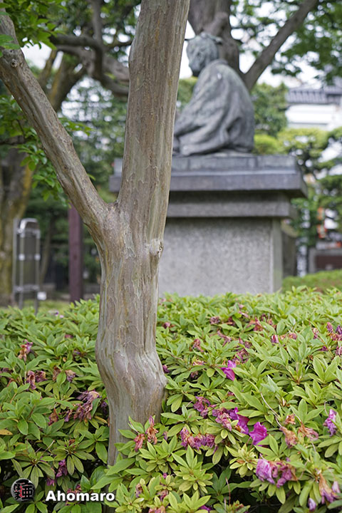 写真00