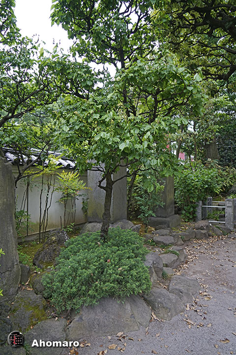 写真00