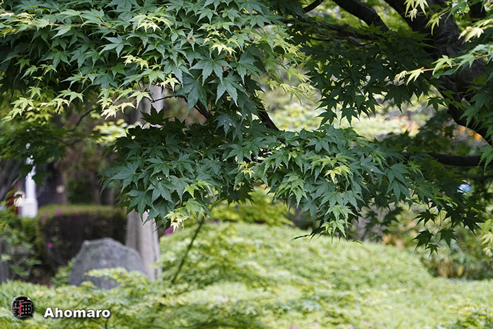 写真00