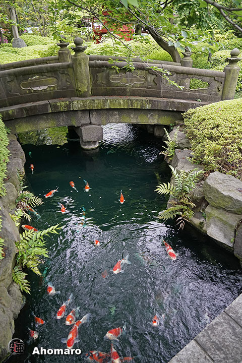 写真00
