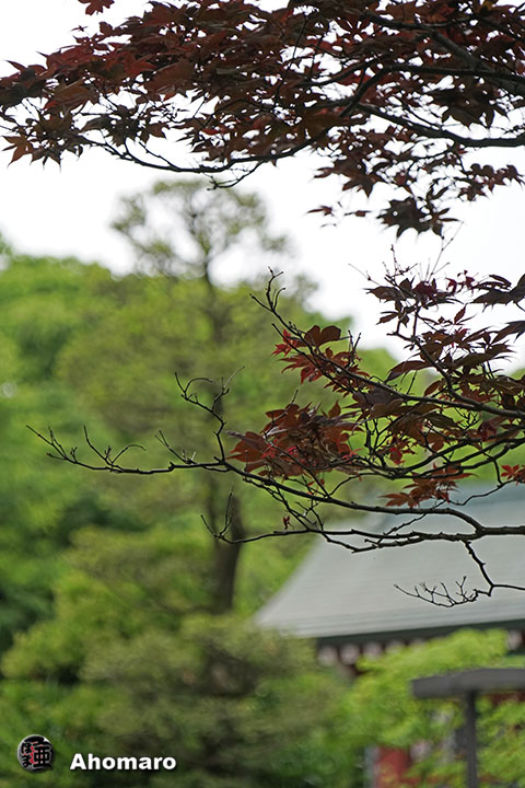 写真00