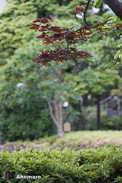 写真00