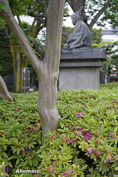 写真00