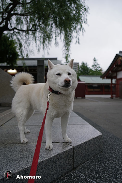 写真00