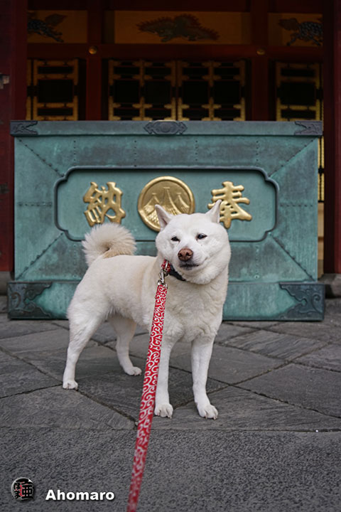 写真00