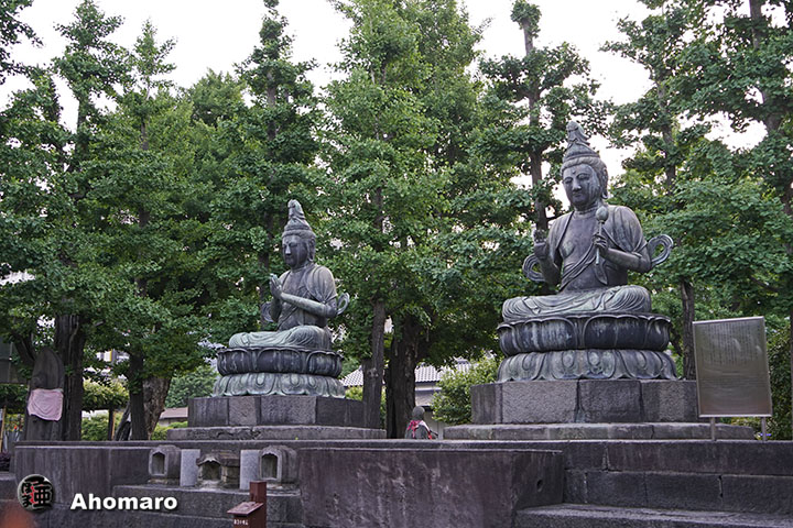 写真00