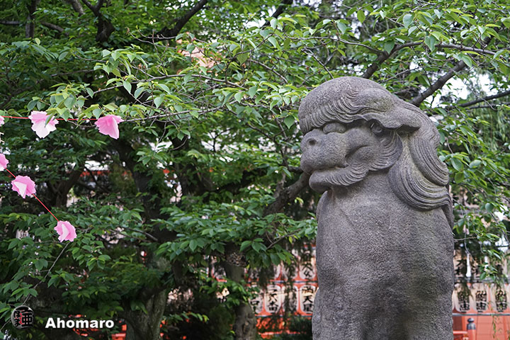 写真00