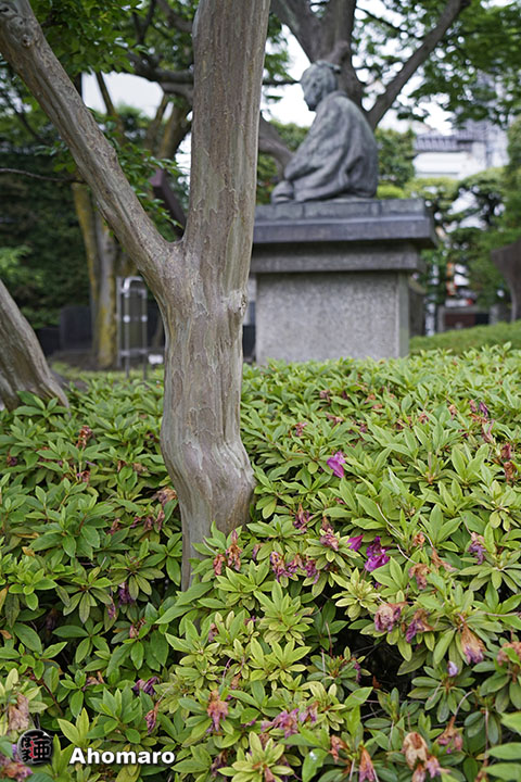 写真00